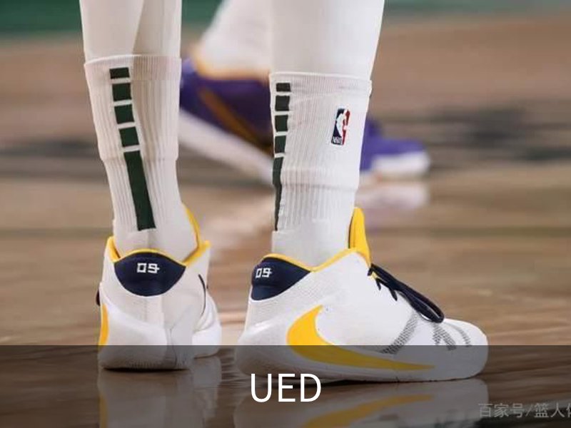 UED概况